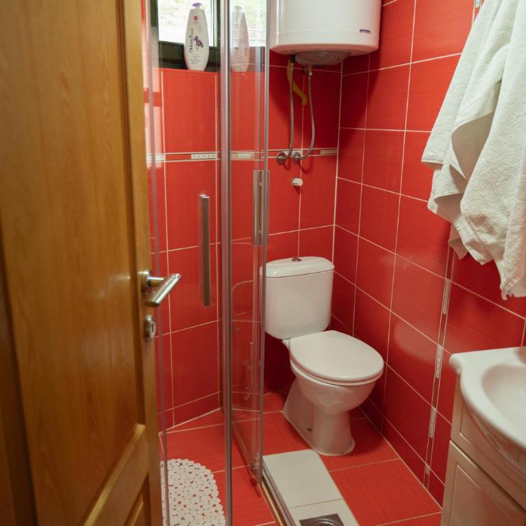 Škrka cotege - center of Zabljak - Two-Bedroom House - 35
