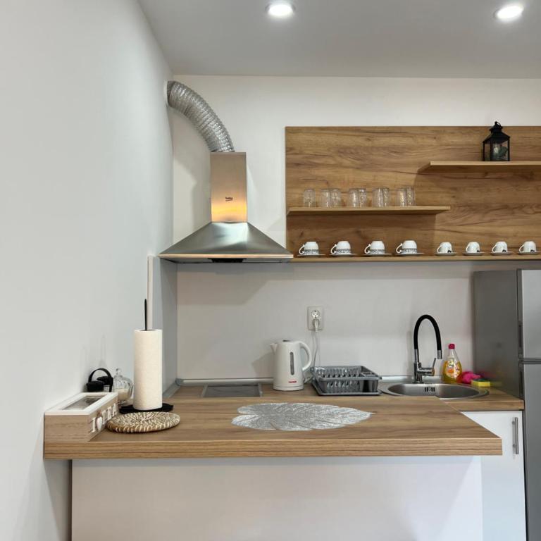 Apartments Aura - One-Bedroom Apartment - 9