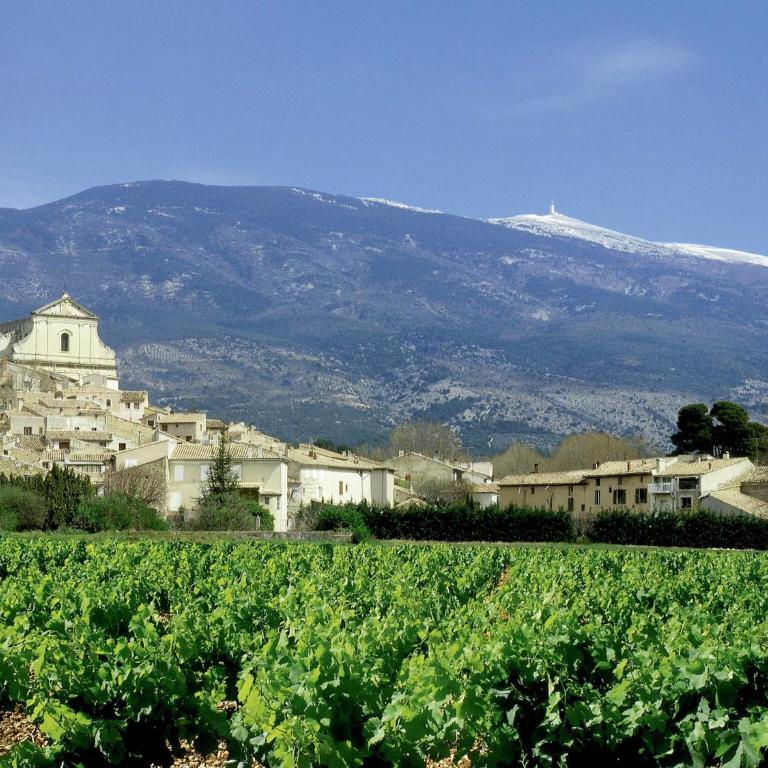 Farmhouse in Carpentras with Pool - Villa 2 Chambres - 39