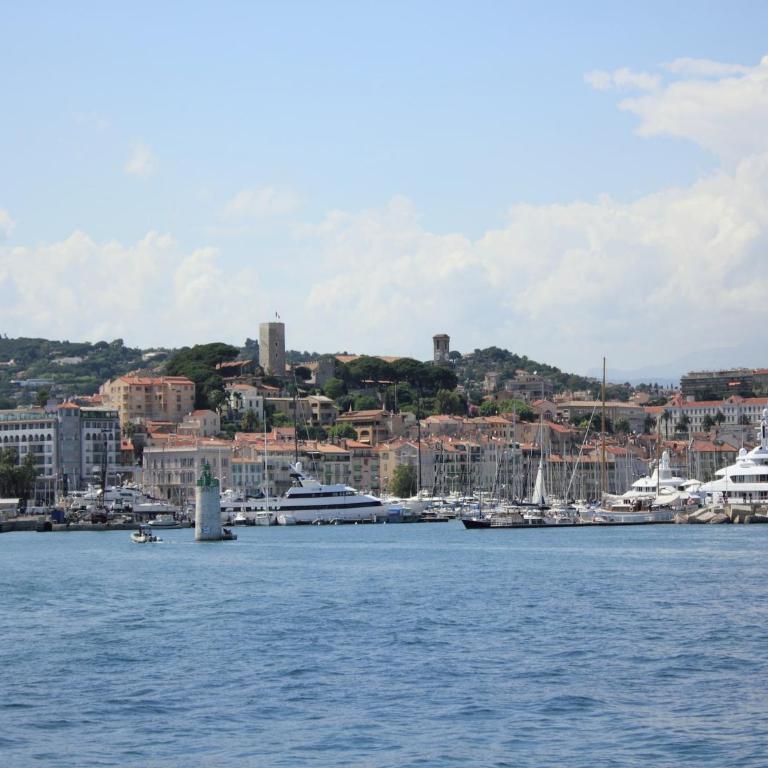 Scenic villa in Cannes with private pool - Villa 4 Chambres - 33