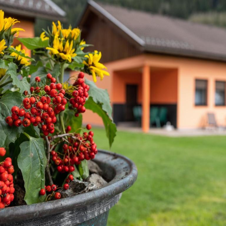 Bungalow in Glödnitz near Nockberge Alps - Bungalow mit 1 Schlafzimmer - 26
