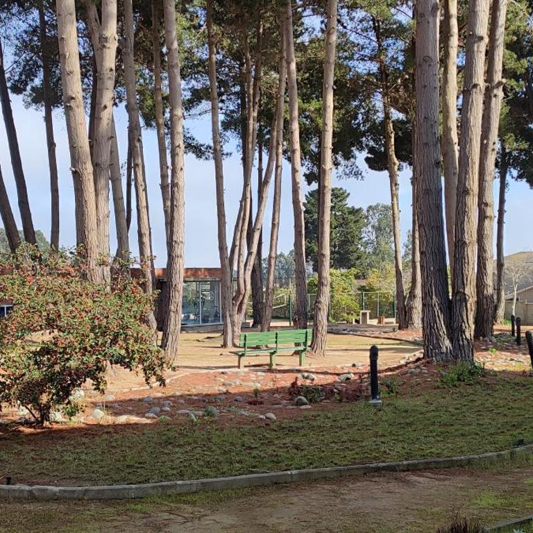 Lindo y cómodo departamento en Algarrobo, Chile - Three-Bedroom Apartment - 2