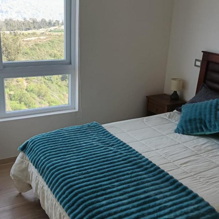 Viña del Mar - Two-Bedroom Apartment - 18