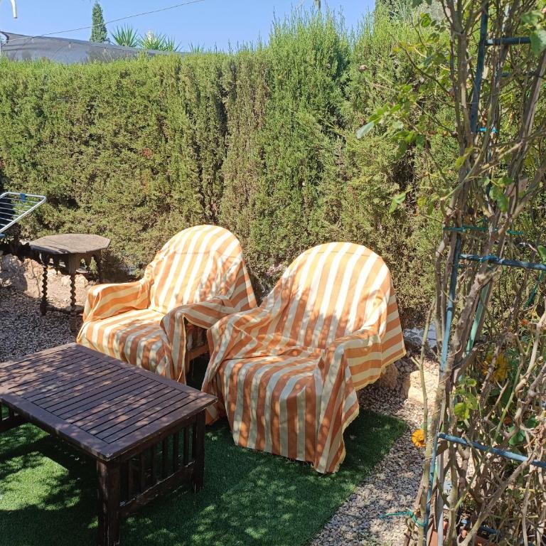 Bella Terra 2 - Apartamento de 2 dormitorios - 13