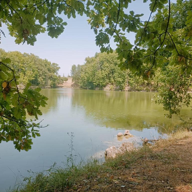 Maison au RDC, proche parking, piscine chauffée, en résidence, 4 ou 5 pers, lac, nature et pêche - Maison 1 Chambre - 28