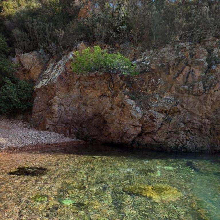 Cap Estérel VUE MAGNIFIQUE MER - Appartamento con 2 Camere da Letto - 6