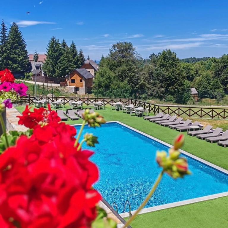 Kraljevi Cardaci Olja - Apartman sa 1 Spavaćom Sobom - 18