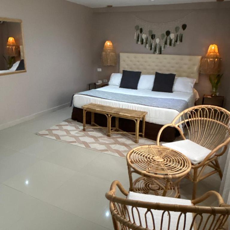 Dorado Beach Isla - Double Room with Private Bathroom - 1