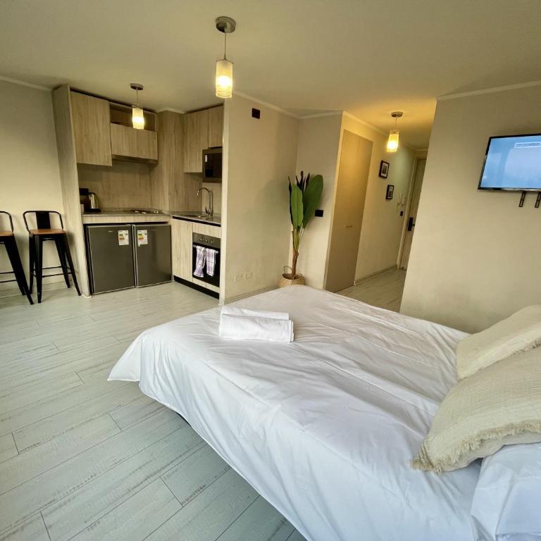 Amplio Studio en Ñuñoa, Piscina - Apartamento de 1 dormitorio - 14