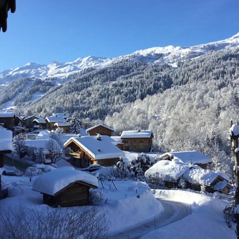 Chalet Altaïr - Chalet - 2