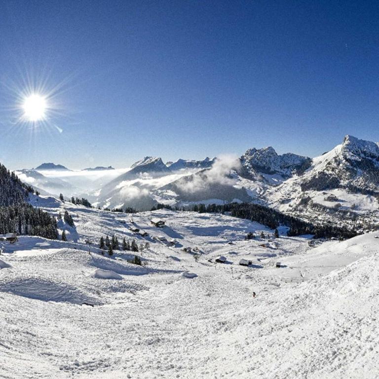 Apartment in Kitzbuhel near Ski Slopes - Apartment mit 2 Schlafzimmern - 38
