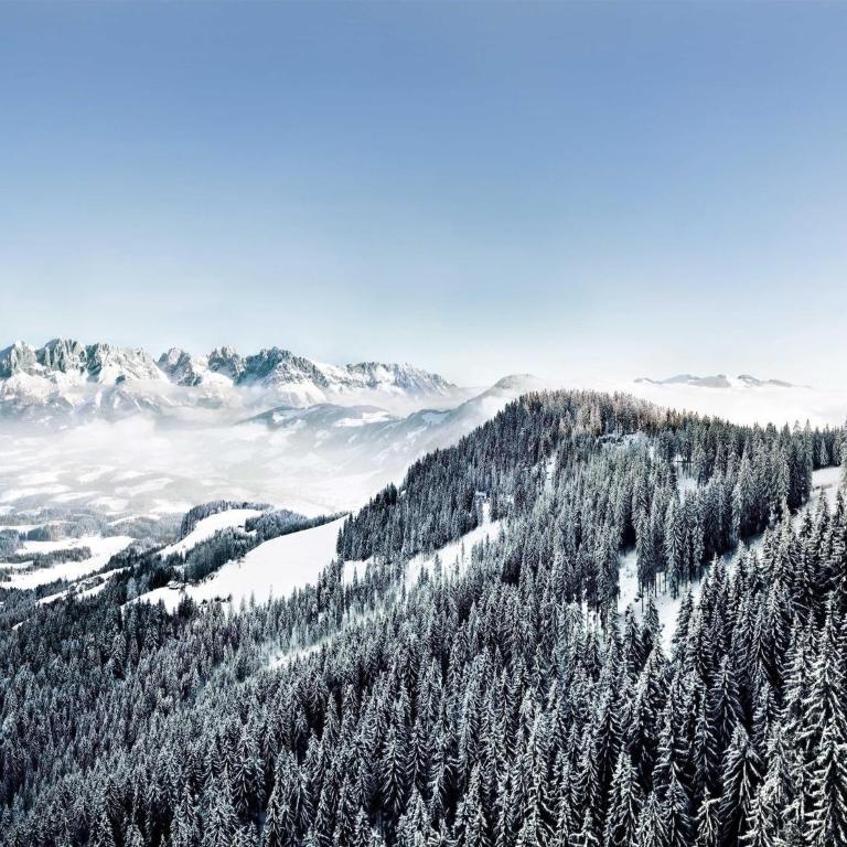 Apartment in Kitzbuhel near Ski Slopes - Apartment mit 2 Schlafzimmern - 35