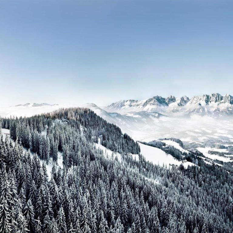 Apartment in Kitzbuhel near Ski Slopes - Apartment mit 2 Schlafzimmern - 17