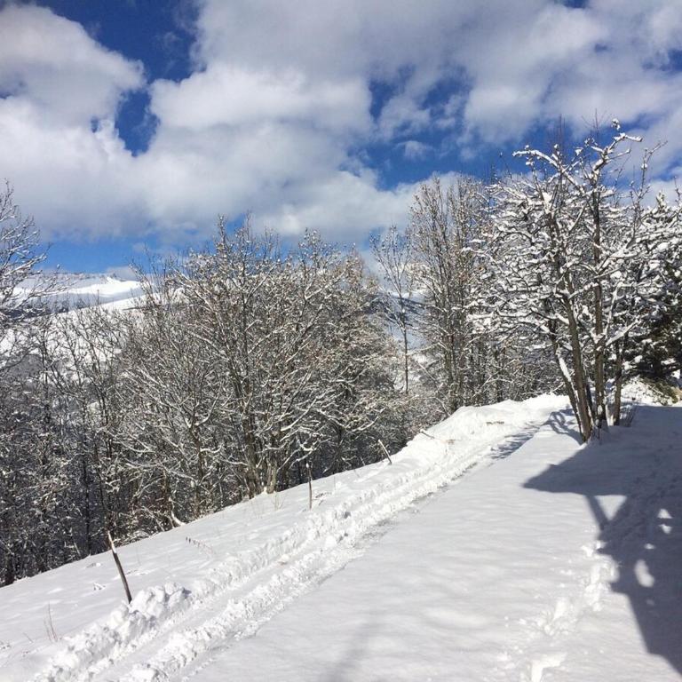 Appartement en Peisey-Nancroix proche de ski resort - Appartement 2 Chambres - 14