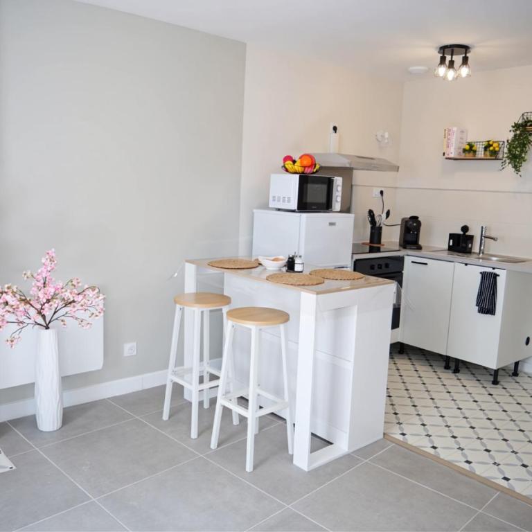 Charmants T2 rénovés - Jardin - Centre ville - Apartamento de 1 dormitorio - 12
