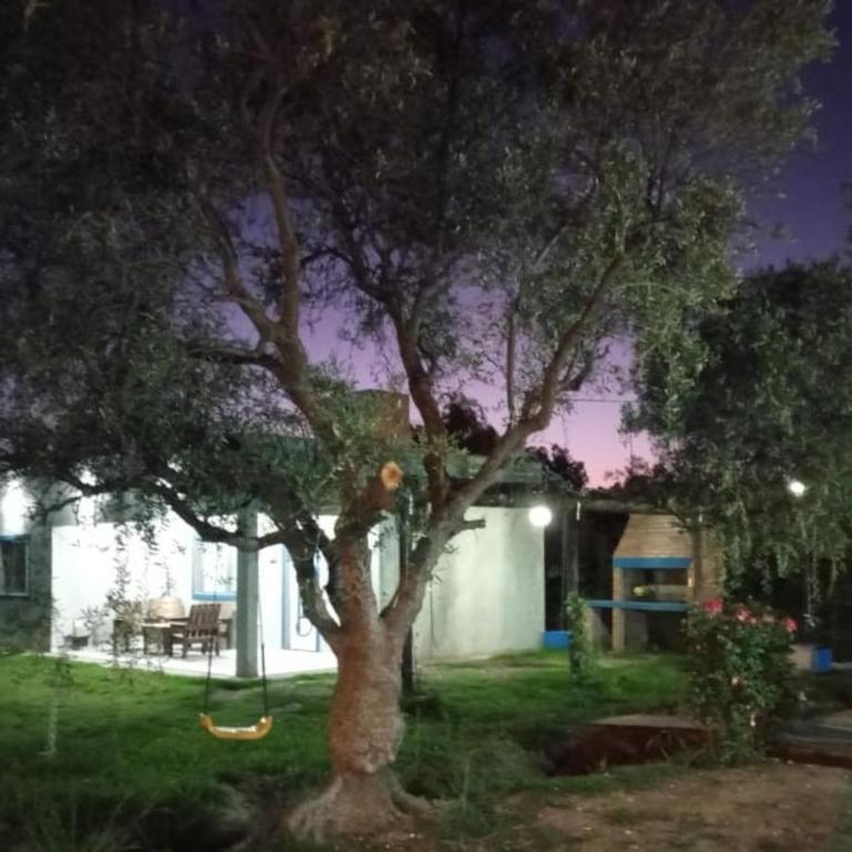Cabañas Universo - Apartamento de 2 dormitorios - 10
