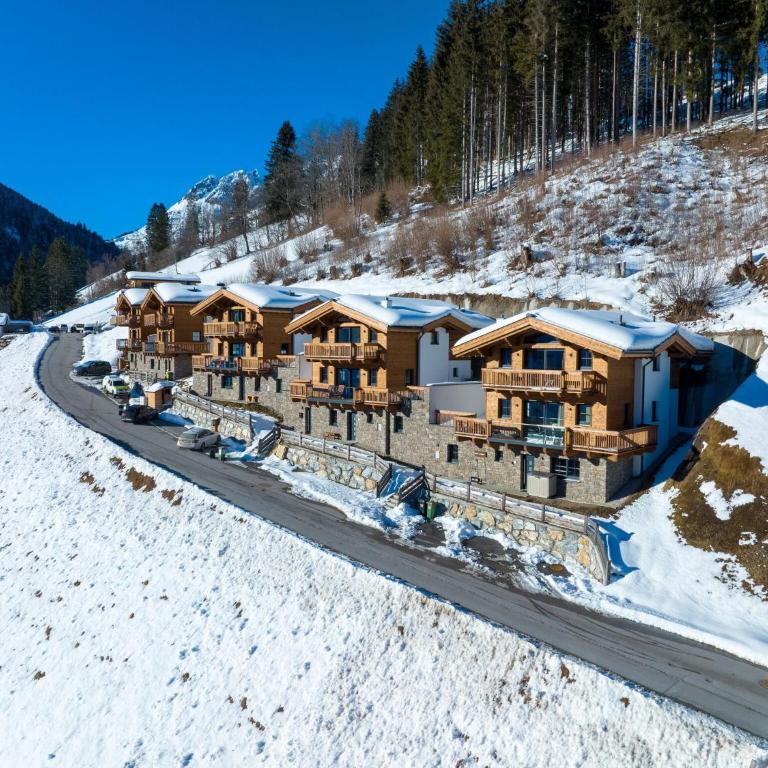 Chalet in Mühlbach near Hochkönig Ski Area - Superior Chalet - 11