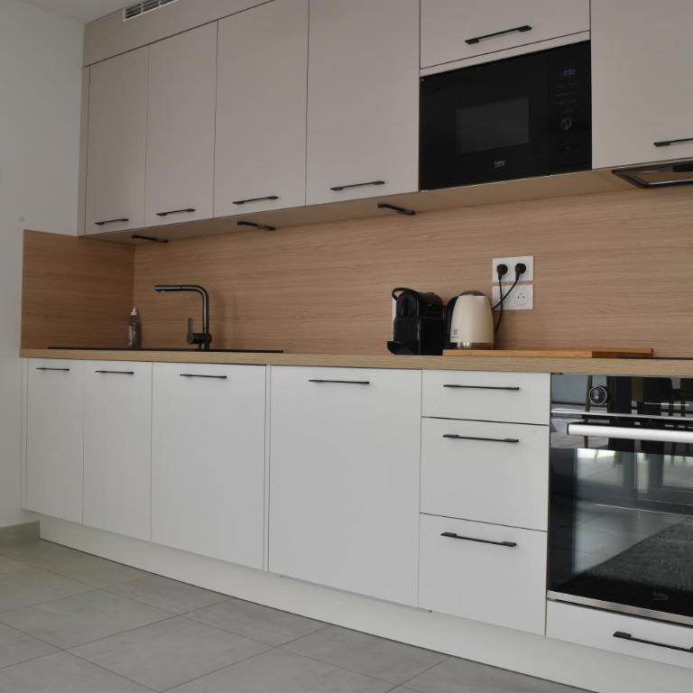 Apt au calme avec terrasse et parking CV - Appartement 1 Chambre - 13
