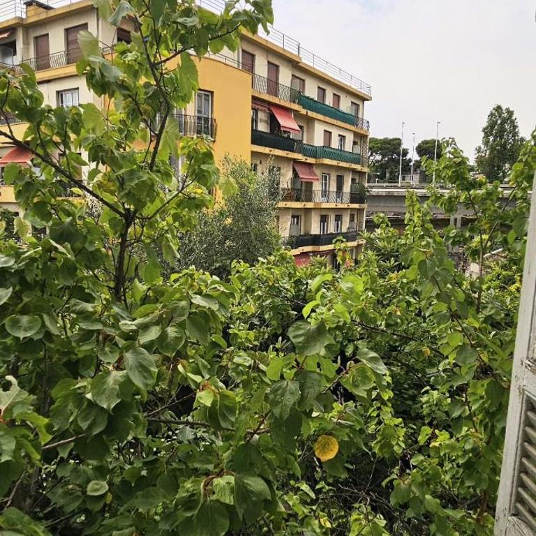 Spacious apartment in Cimiez - Appartement 2 Chambres - 19