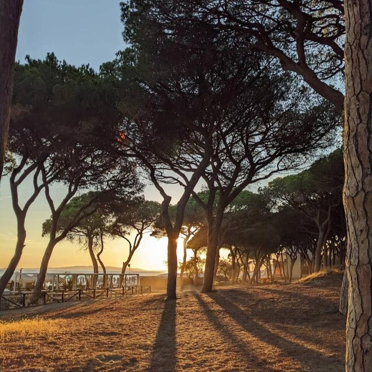 La Casa del Sole - Appartamento con 3 Camere da Letto - 16