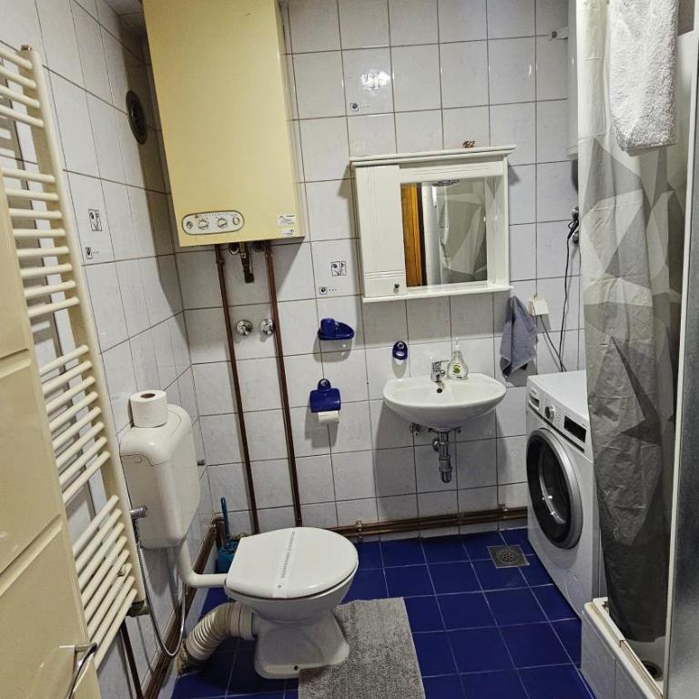 Idolina Apartment - Apartman sa 3 Spavaće Sobe i Balkonom - 19