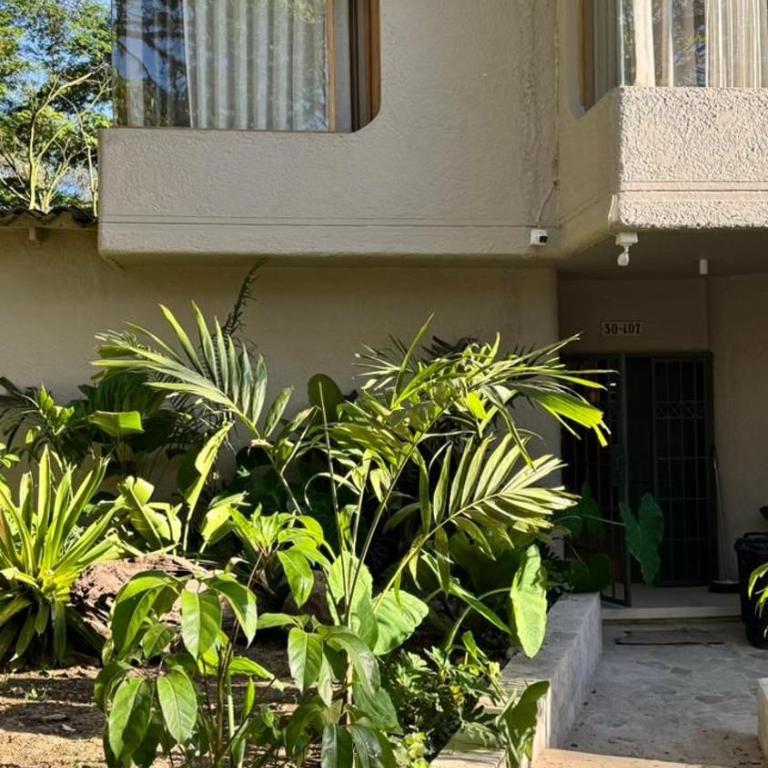 Macondo House Private Heated Pool - Deluxe Villa - 14