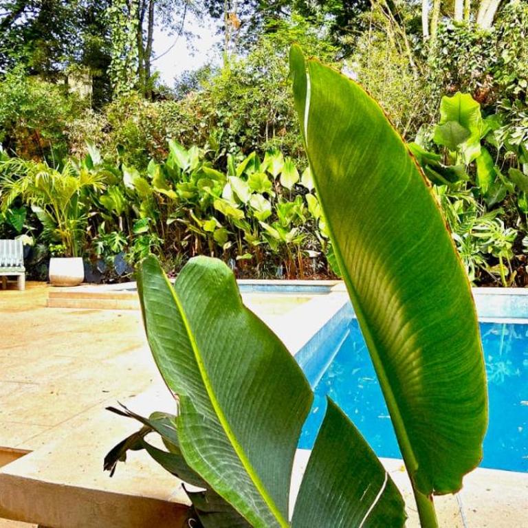 Macondo House Private Heated Pool - Deluxe Villa - 48