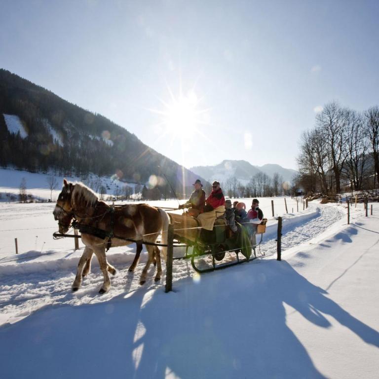 Chalet in Stadl an der Mur near Ski Slopes - Chalet de 2 dormitorios - 33