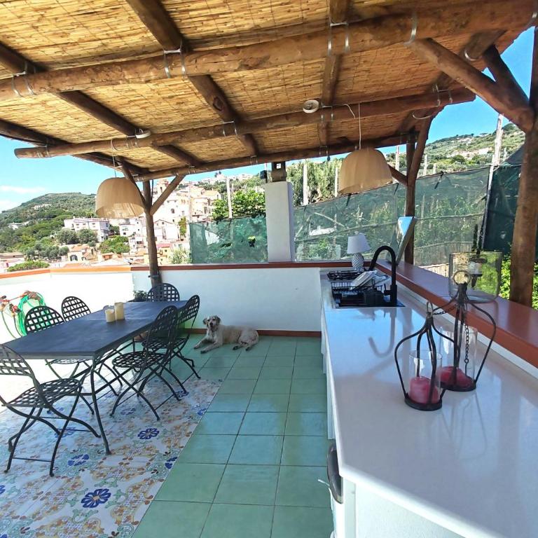 Panoramic Sea-View Apartments with Terrace, Marina della Lobra - Appartamento Deluxe - 21