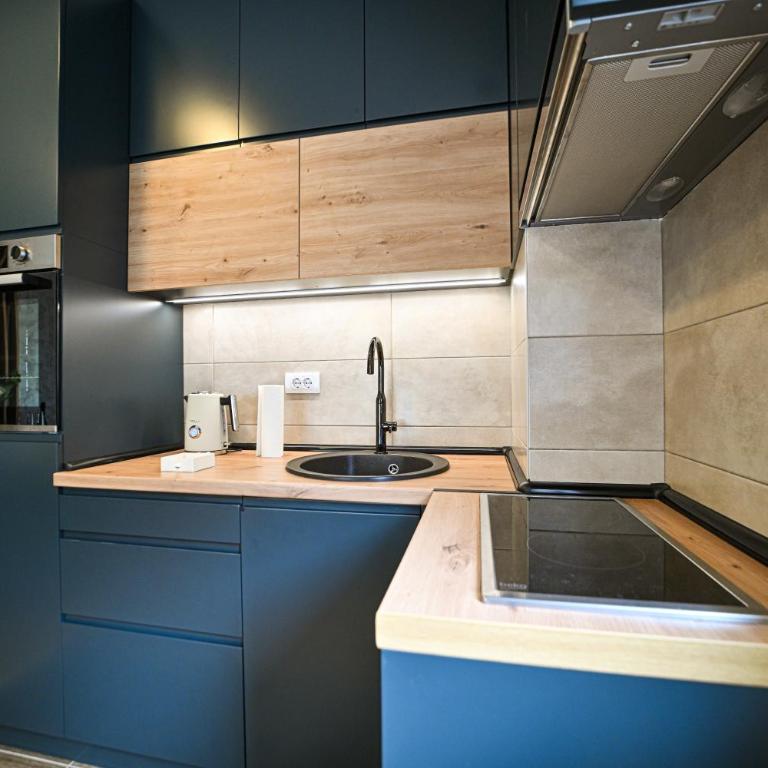 Adams Lux Zlatibor - One-Bedroom Apartment - 7