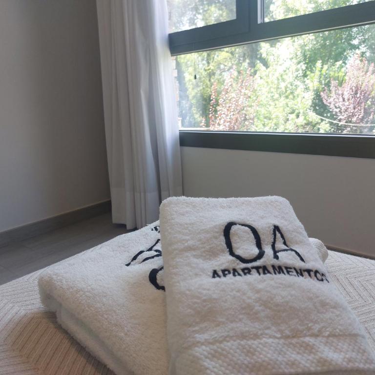 Apartamentos Ordesa Ainsa - Apartment - 9