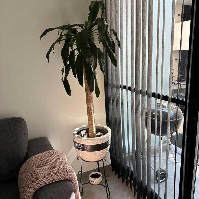 Modern and the best location - Two-Bedroom Apartment - 22