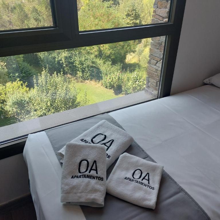 Apartamentos Ordesa Ainsa - Two-Bedroom Apartment - 16