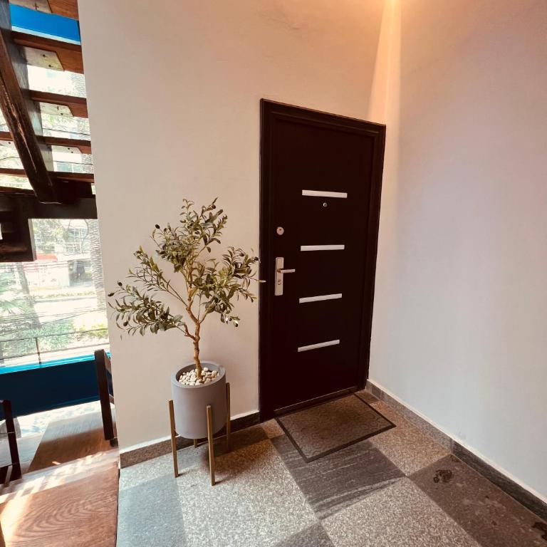 Loft 403 Polanco - One-Bedroom Apartment - 16