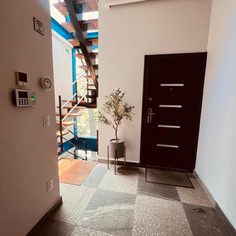Loft 403 Polanco - One-Bedroom Apartment - 17