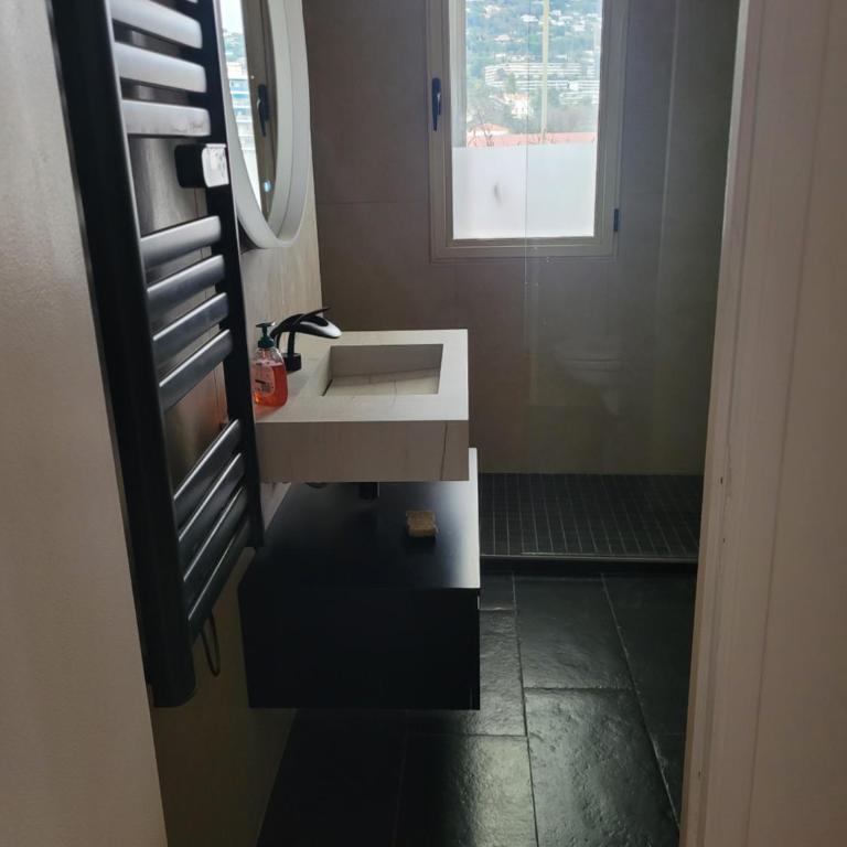 Rooftop apartment Cannes center - Parking - Appartement 1 Chambre - 7