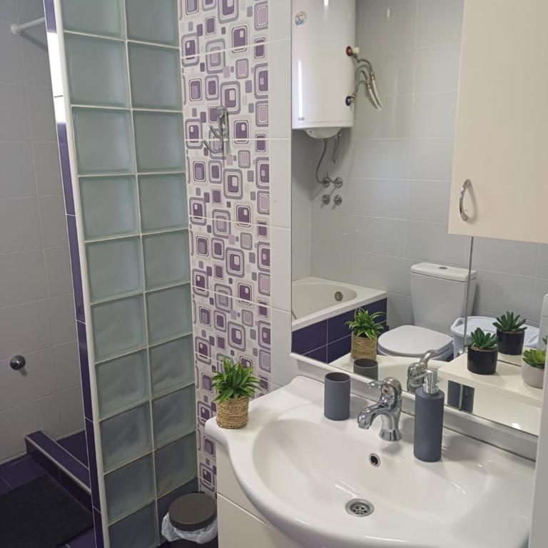 Family Apartman Telep Novi Sad - Yard & Free parking - Apartman sa 3 Spavaće Sobe i Balkonom - 11