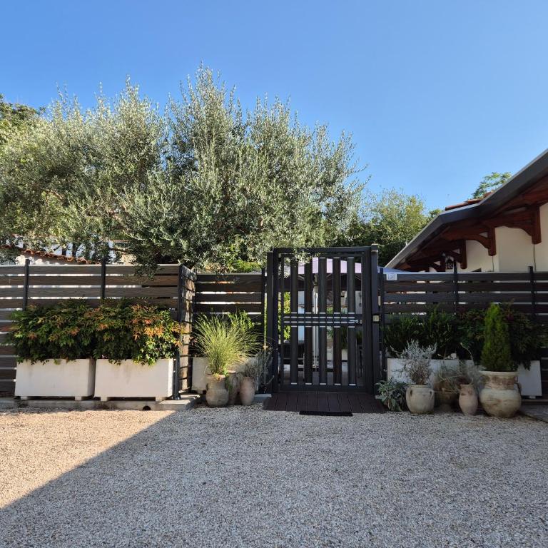 Lilli Home - Urban Garden - Appartement 1 Chambre - 20