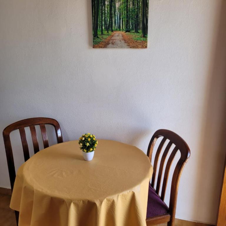 Colorina Mar del Plata - Apartamento de 1 dormitorio - 6