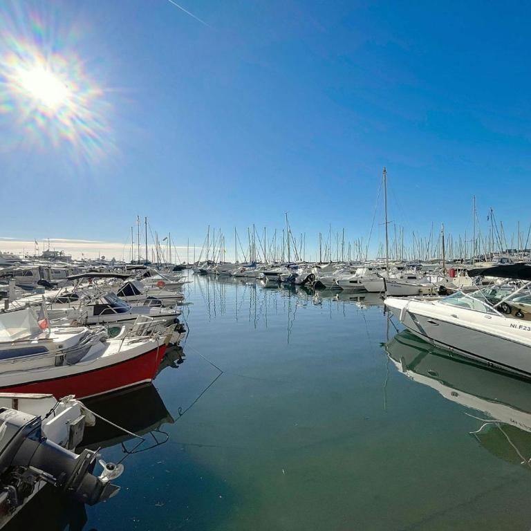 Port Azur 2 - 4 couchages - 1 chambre - Piscine - Appartement - 14