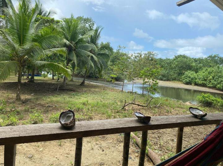 Cabaña Río Mecana - Apartment - 20