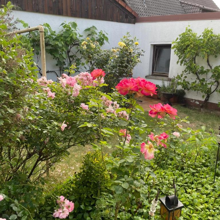 Spacious 3BR House with 2 Parking Spaces & Garden - Haus mit 3 Schlafzimmern - 30