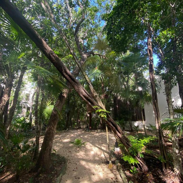 La Linda Luxury Two Story Apartment Huge Terrace Next to the Pool - Two-Bedroom Deluxe Apartment with Garden View - 72