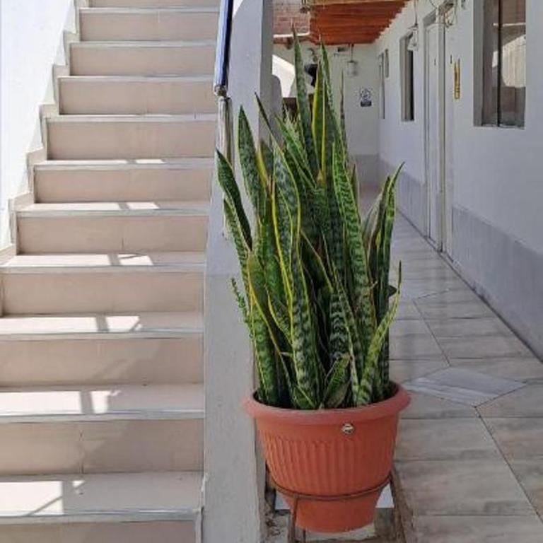 hotel paraaco - Habitación Doble con baño privado - 10