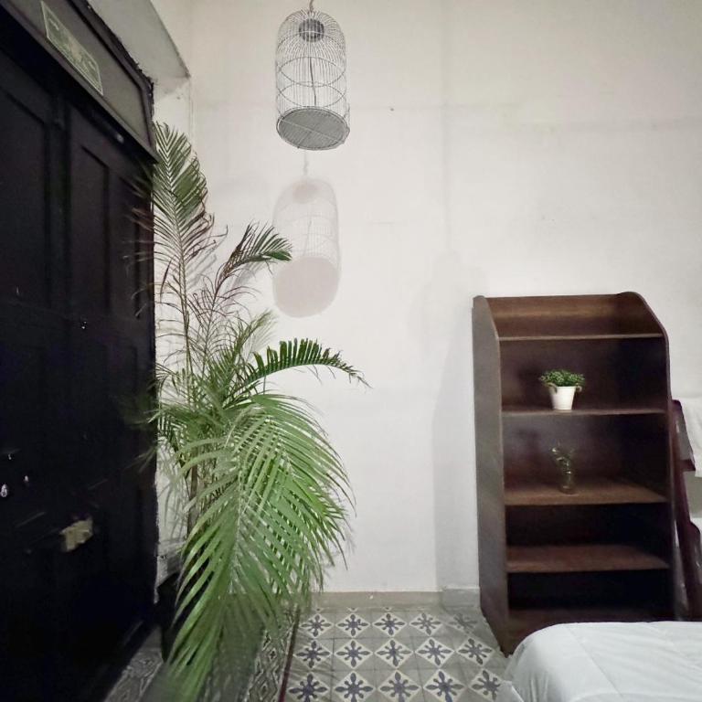 Casa Peregrina 613 - Luxury Triple Room - 5