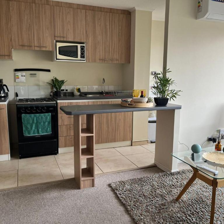 Espectacular depto en condo 2D 2B Full Equipado Wifi Aire Estacionamiento - Two-Bedroom Apartment - 51
