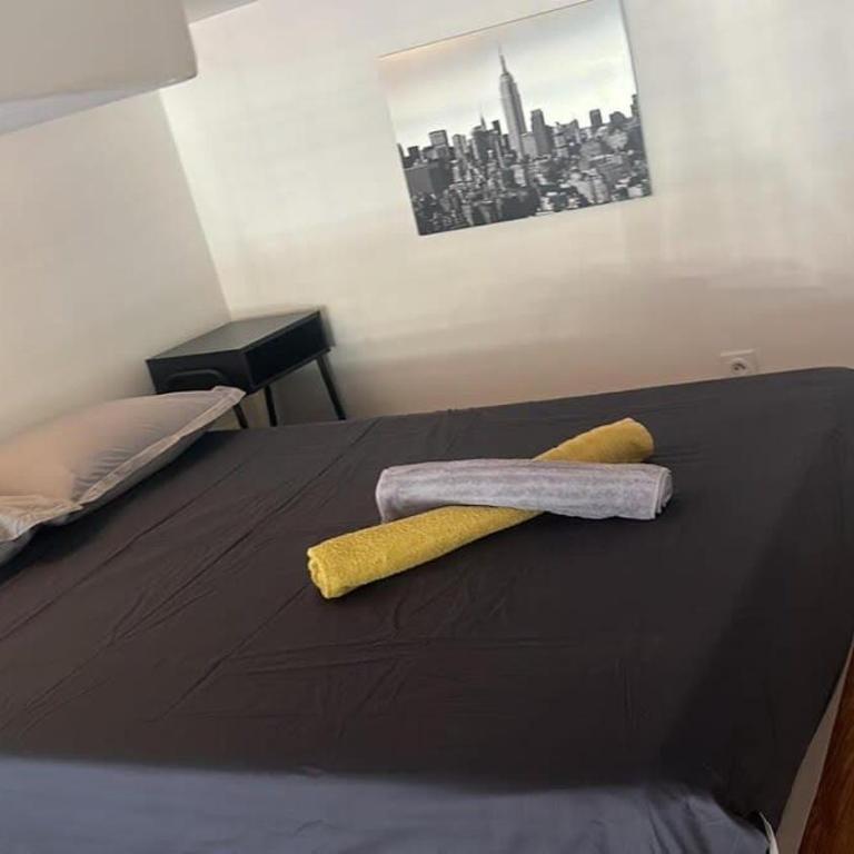 Bel appart proche gare TGV - Apartment mit 1 Schlafzimmer - 5