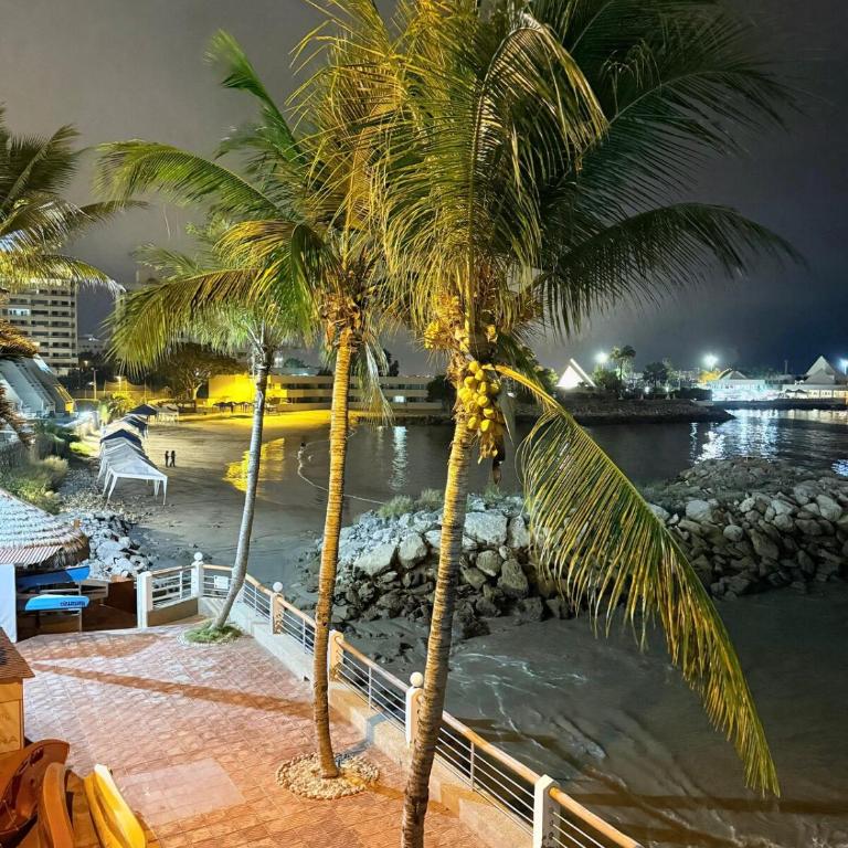 Vive una experiencia de ensueño frente al Mar - Apartment - 5