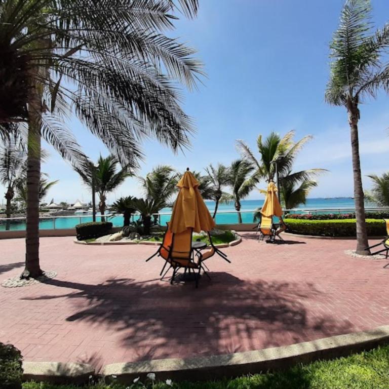 Vive una experiencia de ensueño frente al Mar - Apartment - 36