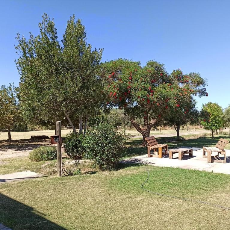 Alala Campo Casa Quinta - Apartment - 10